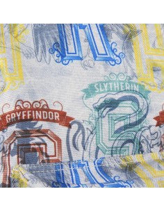 MOCHILA ESCOLAR INSTITUTO HARRY POTTER 2